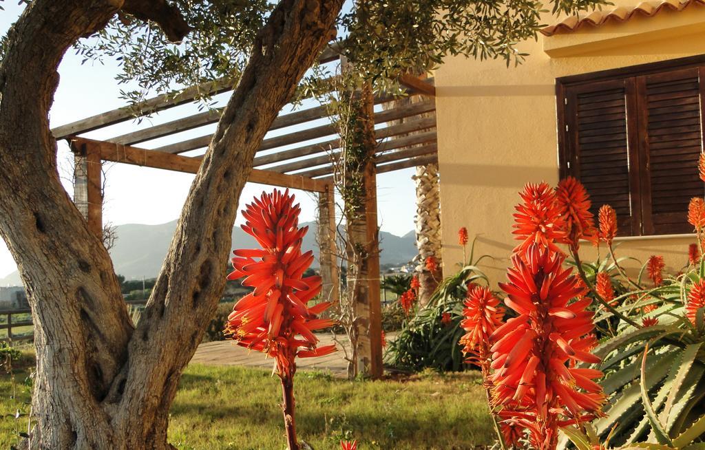 Il Giardino Delle Aloe Favignana Exterior foto