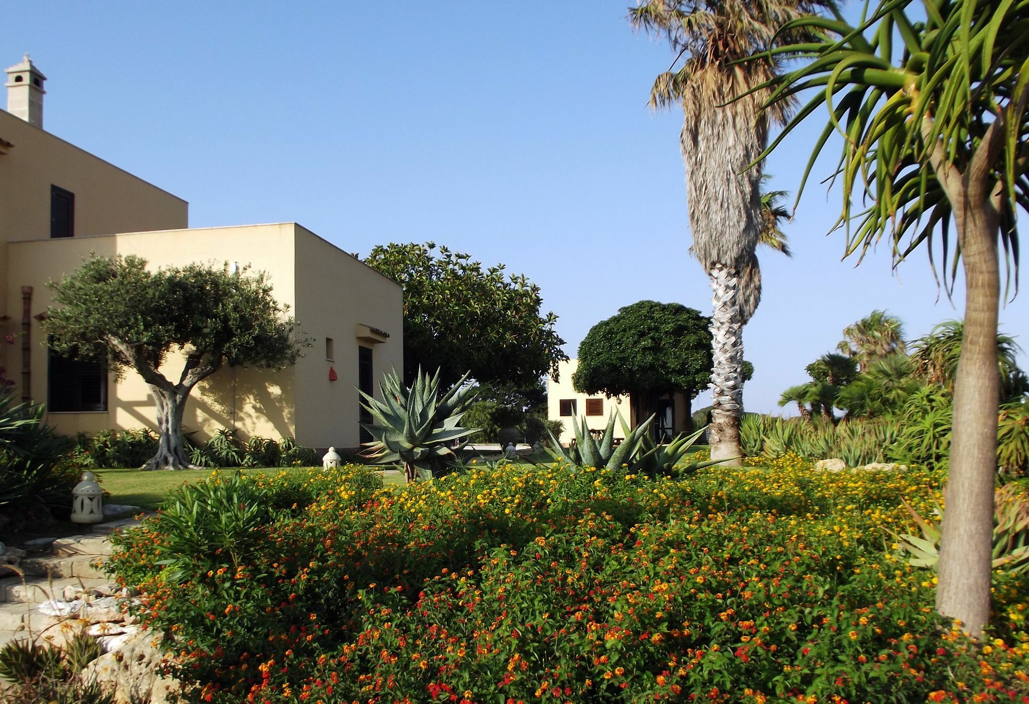 Il Giardino Delle Aloe Favignana Exterior foto
