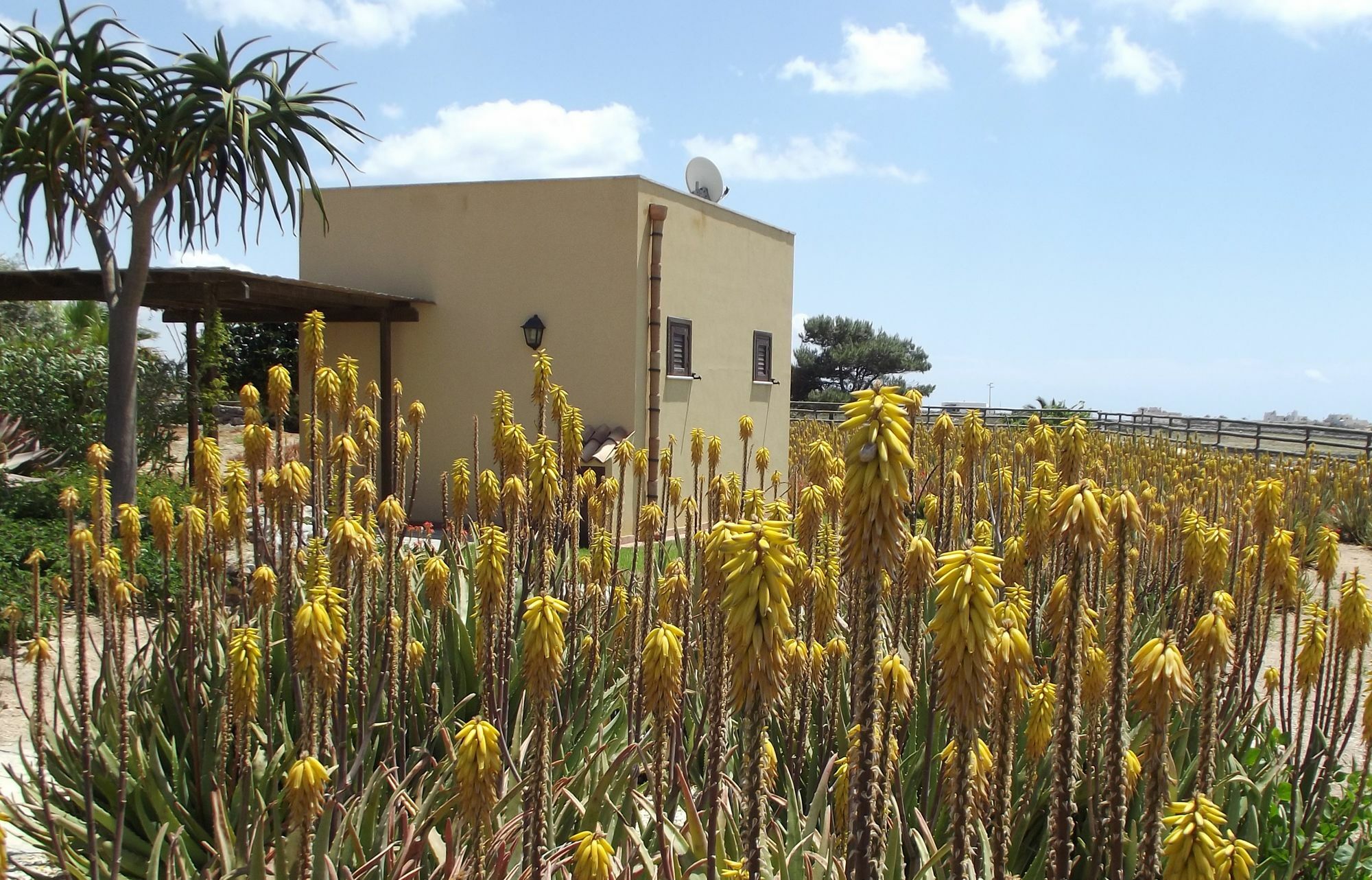 Il Giardino Delle Aloe Favignana Exterior foto