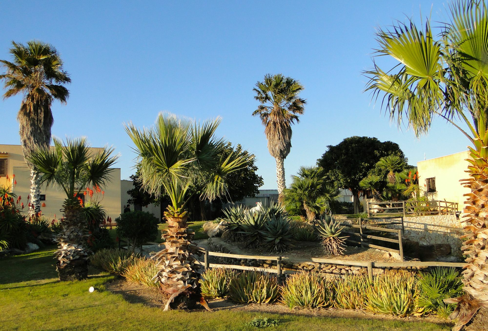 Il Giardino Delle Aloe Favignana Exterior foto