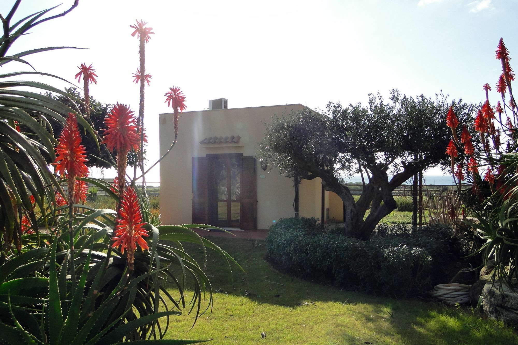 Il Giardino Delle Aloe Favignana Exterior foto
